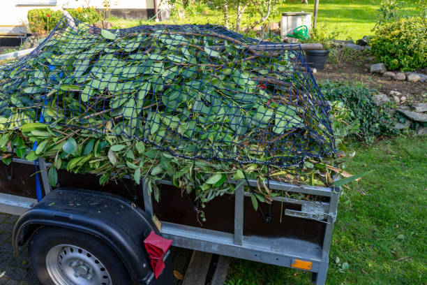 Best Recycling Services for Junk  in Beecher, IL